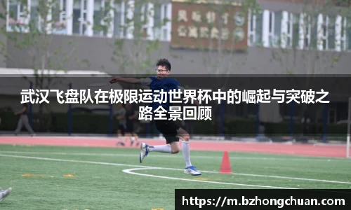 vsport体育官网入口