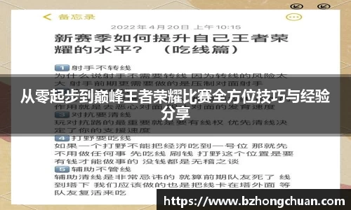 vsport体育官网入口