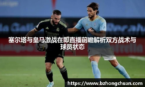 vsport体育官网入口